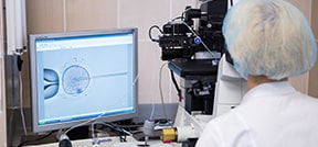 Servizi di fecondazione in vitro Servizi di fecondazione in vitro