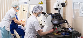 Trattamento mitocondriale / trasferimento pronucleare per la FIVET garantita Trattamento mitocondriale / trasferimento pronucleare per la FIVET garantita