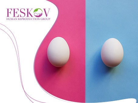 blog: Tutto ciò che bisogna sapere sulle donatrici di ovociti